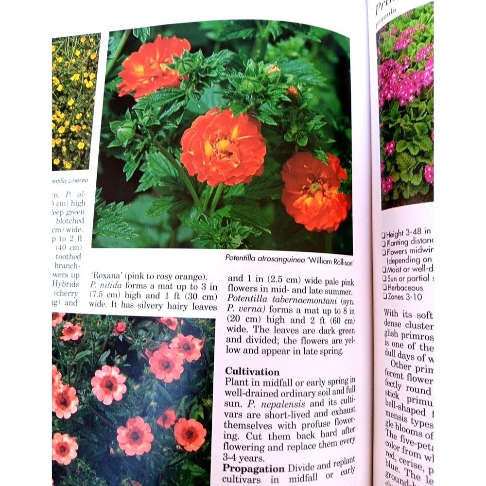 A–Z of Perennials – Reader's Digest Successful Gardening Series 1990, Hardcover‎